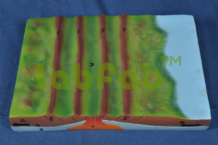 DIVERGENT PLATE BOUNDARIES – GUPTA BRAND 6000-NGM05