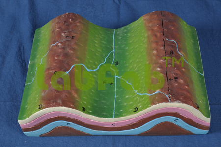 ANTICLINES AND SYNCLINES – GUPTA BRAND 6000-NGM12