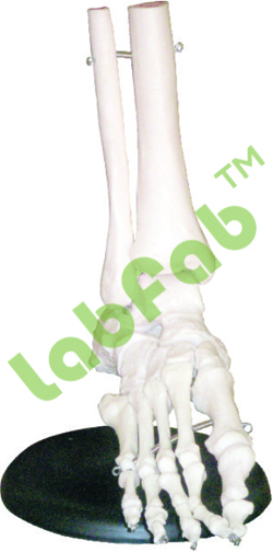FOOT JOINT – GUPTA BRAND 600-XC 113