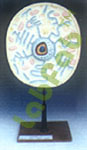 ANIMAL CELL  6003072